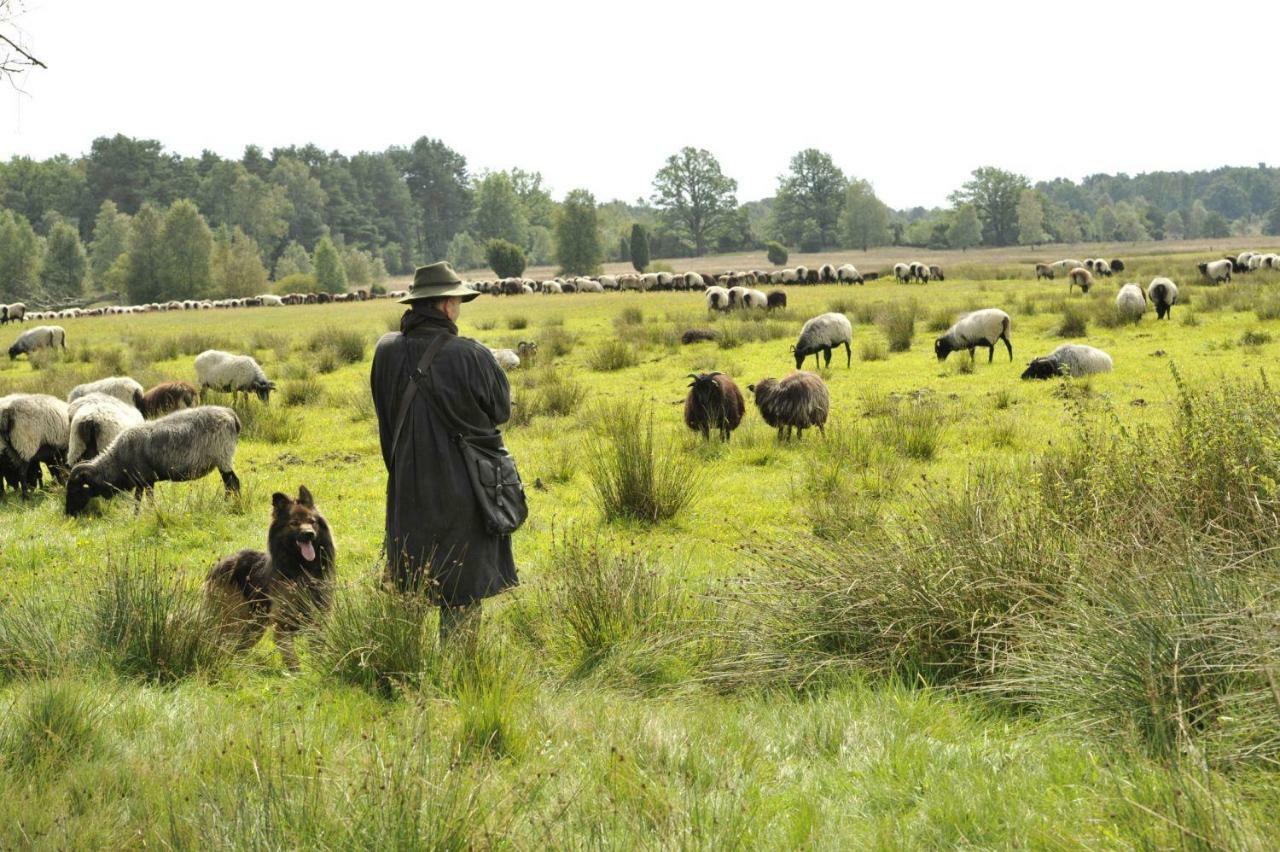 Ferienhof Cohrs Bispingen Extérieur photo